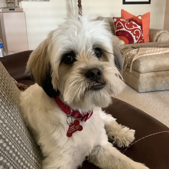 Meet your Posher, Ines - Picture 1 of 1